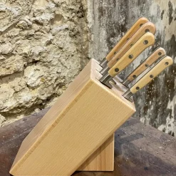 Bloc en hêtre et ses 5 couteaux