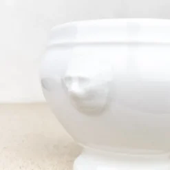 Bol à soupe tête de lion porcelaine blanche
