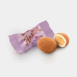 Boîte de pralinés au chocolat Amatllons 100 g