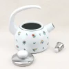 Bouilloire sifflante 2L