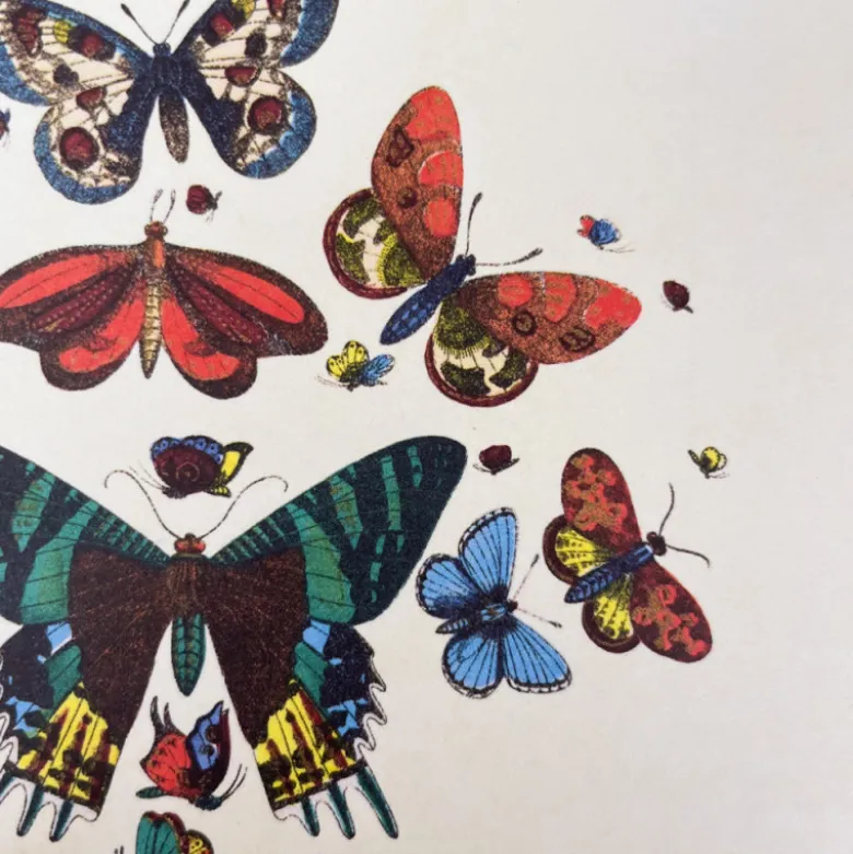 Cahier A5 motifs papillons