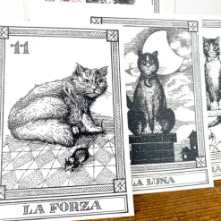 Cartes de tarot chat