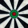 Cible de fléchettes de compétition