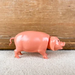 Cochon qui hoche la tête