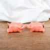 Cochons amoureux magnétiques