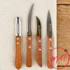 Coffret 4 couteaux La Fourmi