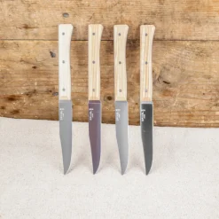 Coffret de 4 Couteaux de Table Opinel Facette en Frêne clair