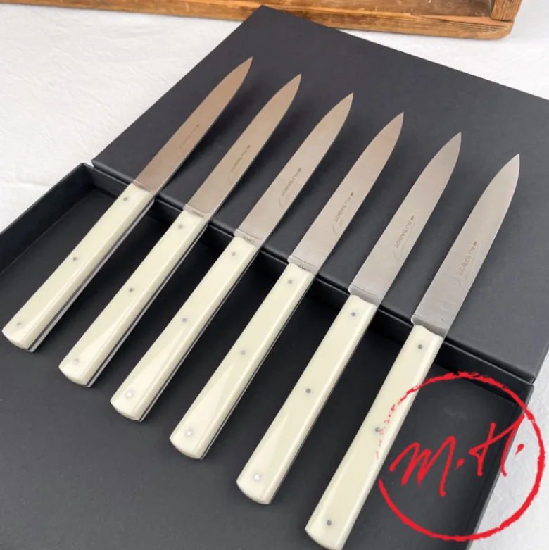 Coffret de 6 couteaux de table Richelieu Sable
