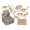 Coffret de paléontologie