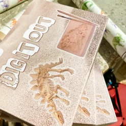Coffret de paléontologie