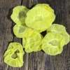 Filets presse-citrons