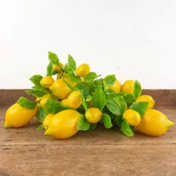 Guirlande de citrons