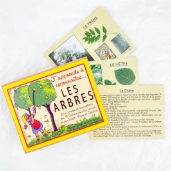 J'apprends à reconnaître les arbres