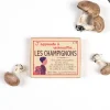 J'apprends à reconnaître les champignons