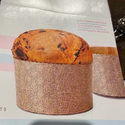 Moule panettone jetable x5