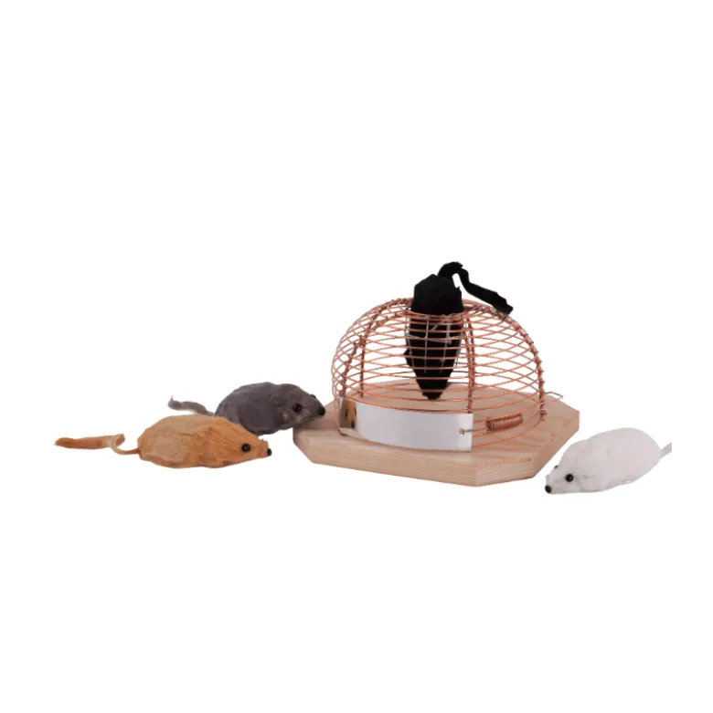 Piège à souris