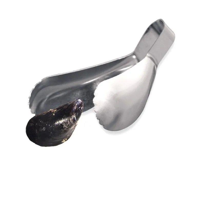 Pinces à moules x6
