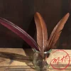 Plume d'écriture