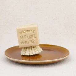 Savon-brosse