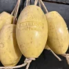 Savon ovale à corde citron