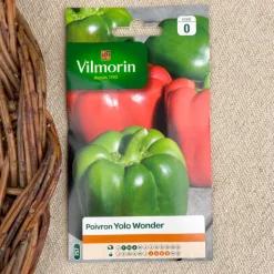 Semences de Légumes