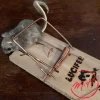 Tapette à rat