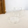 Tisanière en verre borosilicate 0,45L